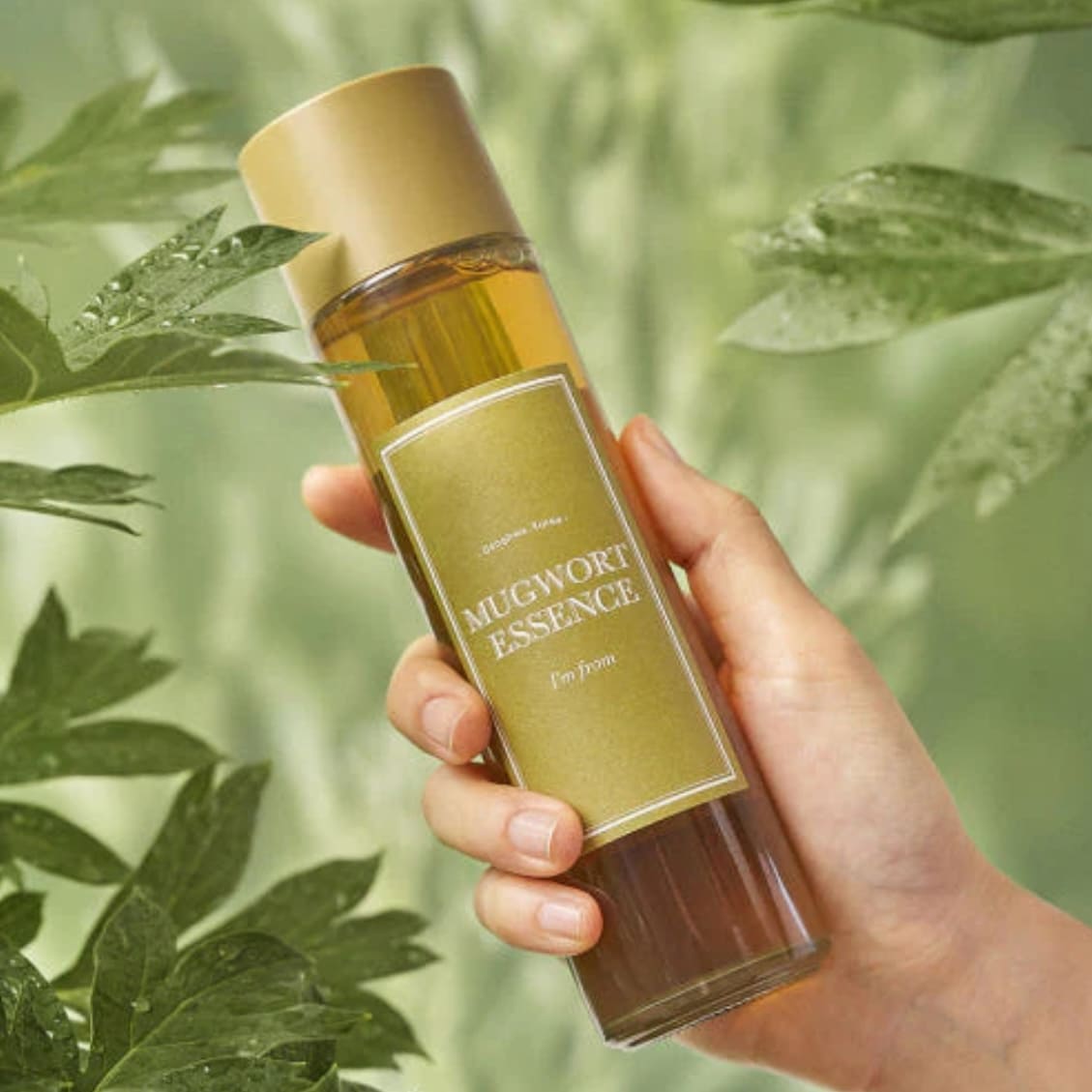 I'm From Essence à l'Armoise main