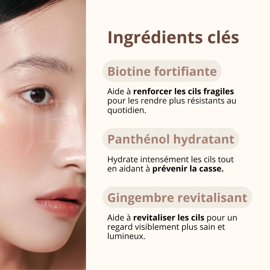 Les ingrédients du sérum pour cils My lash d'Etude