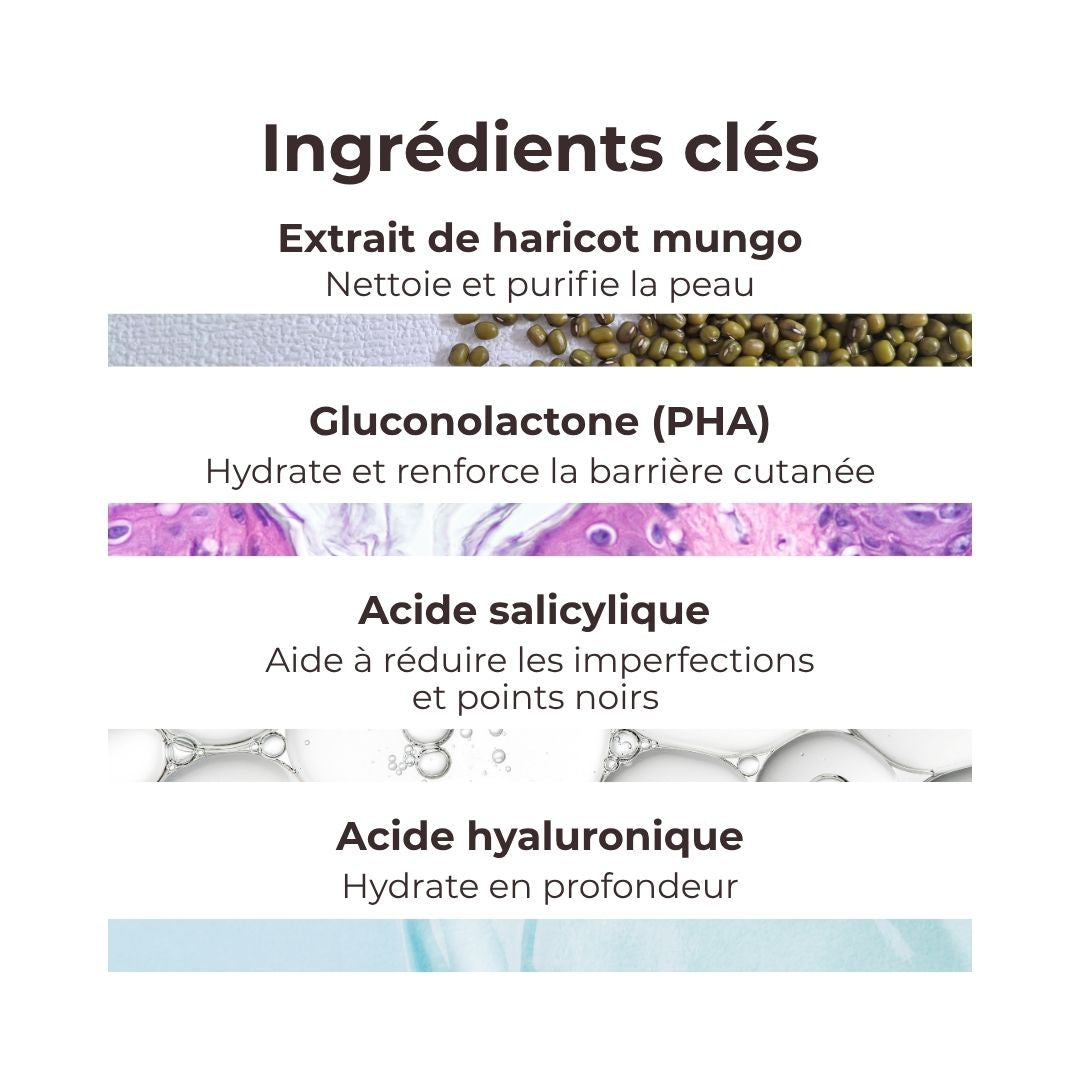 Les ingrédients du gel exfoliant au lait de haricot mungo de Beplain