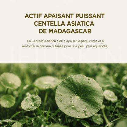 La centella asiatica de madagascar bénéfice