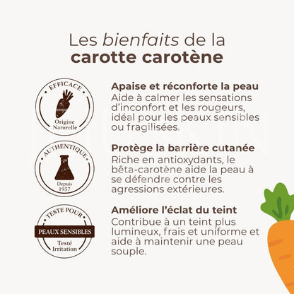 les bienfaits de la carotte carotène de skinfood