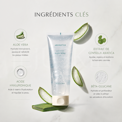 Les ingrédients du gel apaisant à l’Aloe Vera pour le visage et le corps d'Aromatica