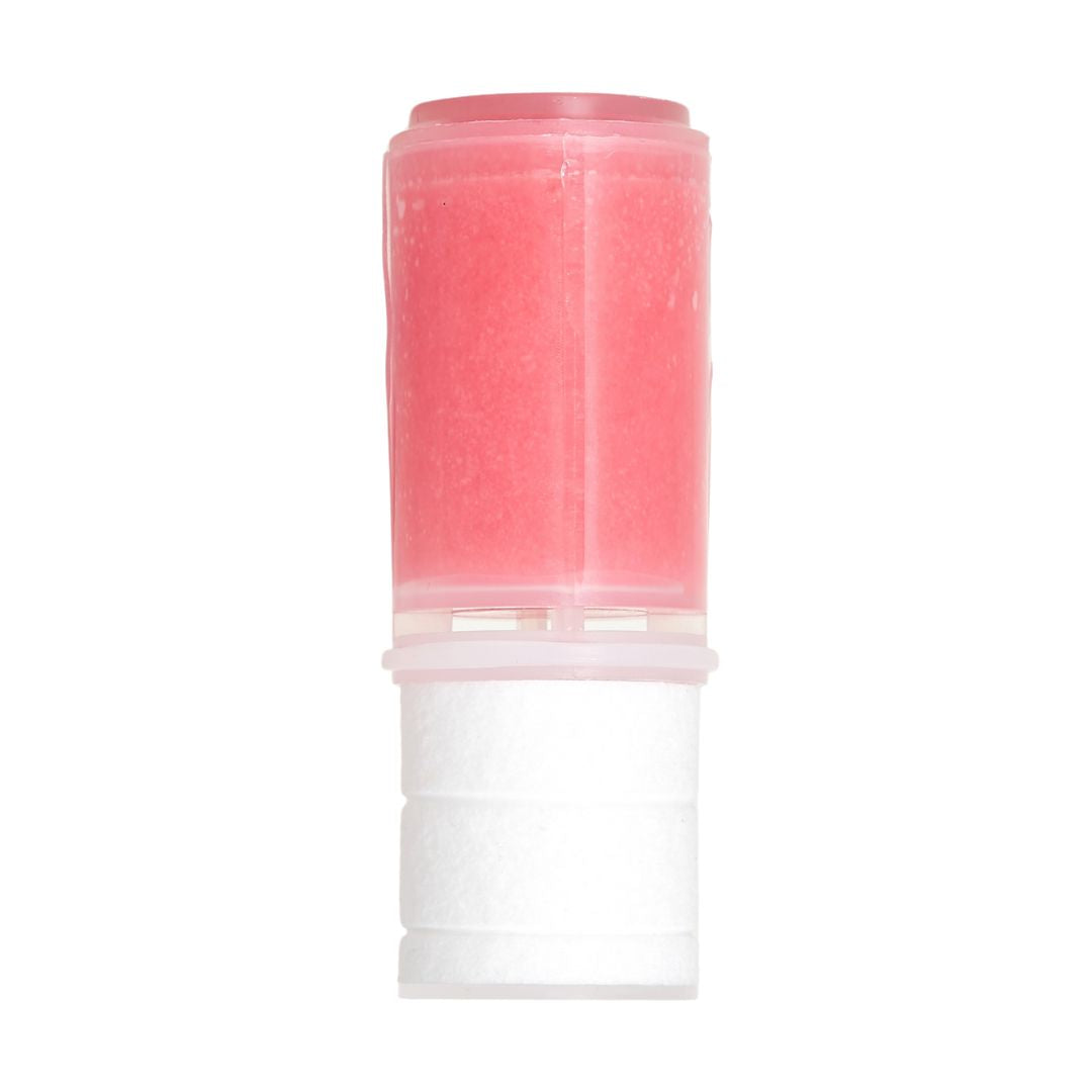 Filtre Onsha Fleur de prunier