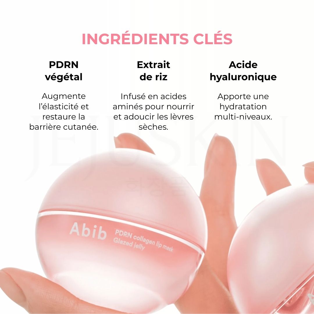 Les ingrédients clés du baume pour les lèvres repulpant au collagène PDRN d'Abib