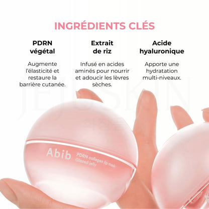 Les ingrédients clés du baume pour les lèvres repulpant au collagène PDRN d'Abib