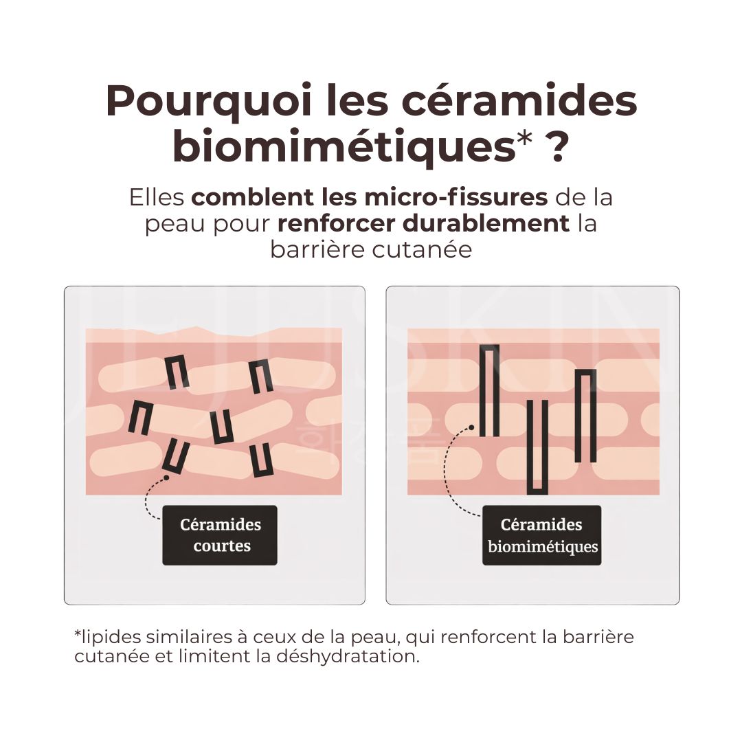 C'est quoi les céramides biomimétiques ?