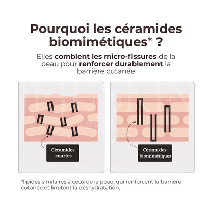 C'est quoi les céramides biomimétiques ?