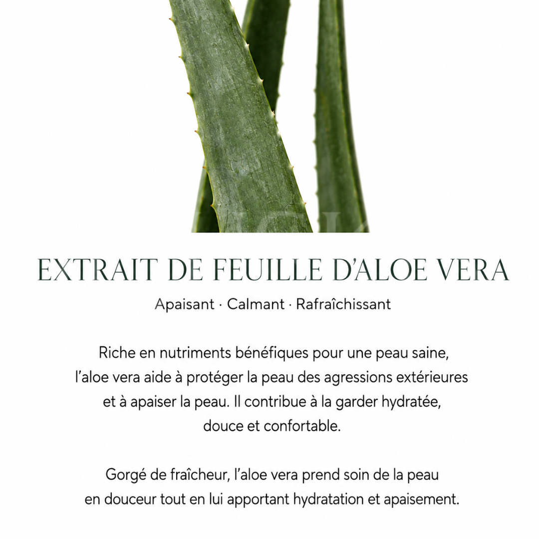 Information sur l'aloe vera
