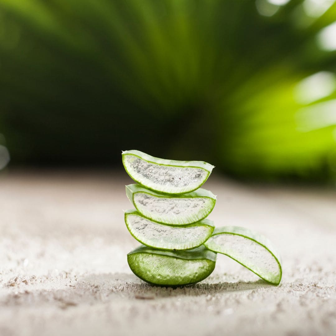 Photo d'une feuille d'aloe vera coupé en deux