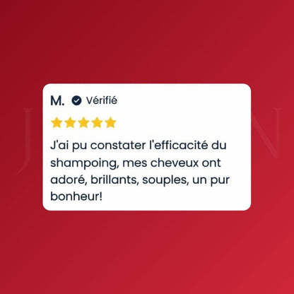 Shiseido shampoing réparateur Fino Premium Touch avis