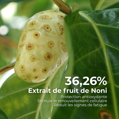 Le fruit Noni utilisé dans la crème contour des yeux Noni Ultimate de Celimax