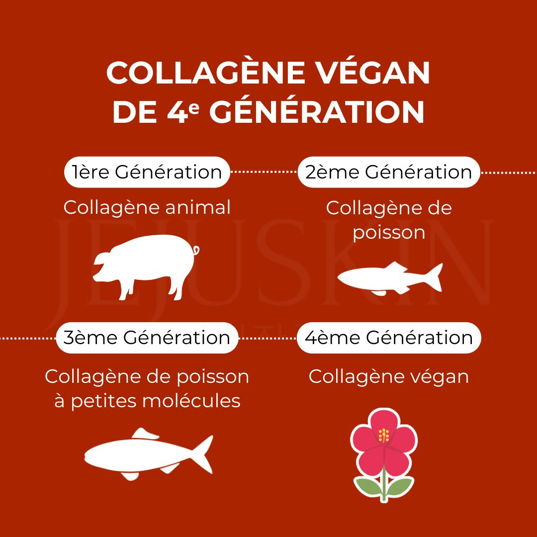 Les générations de collagène