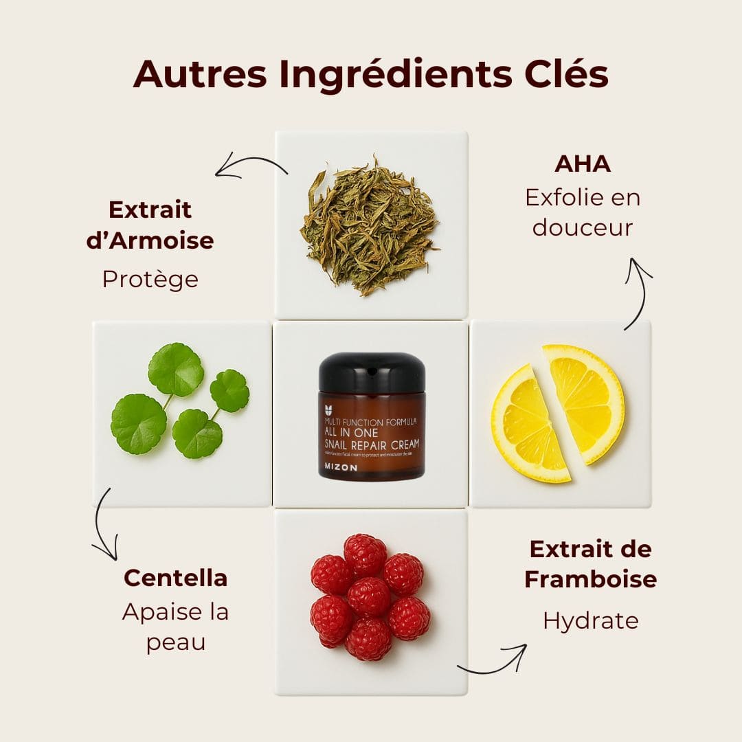 Mizon Crème réparatrice tout-en-un à la bave d’escargot ingrédients