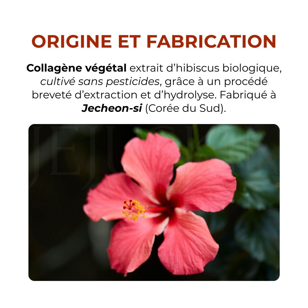 Mizon Gelée de collagène végétal au raisin Inner’sBit fabrication