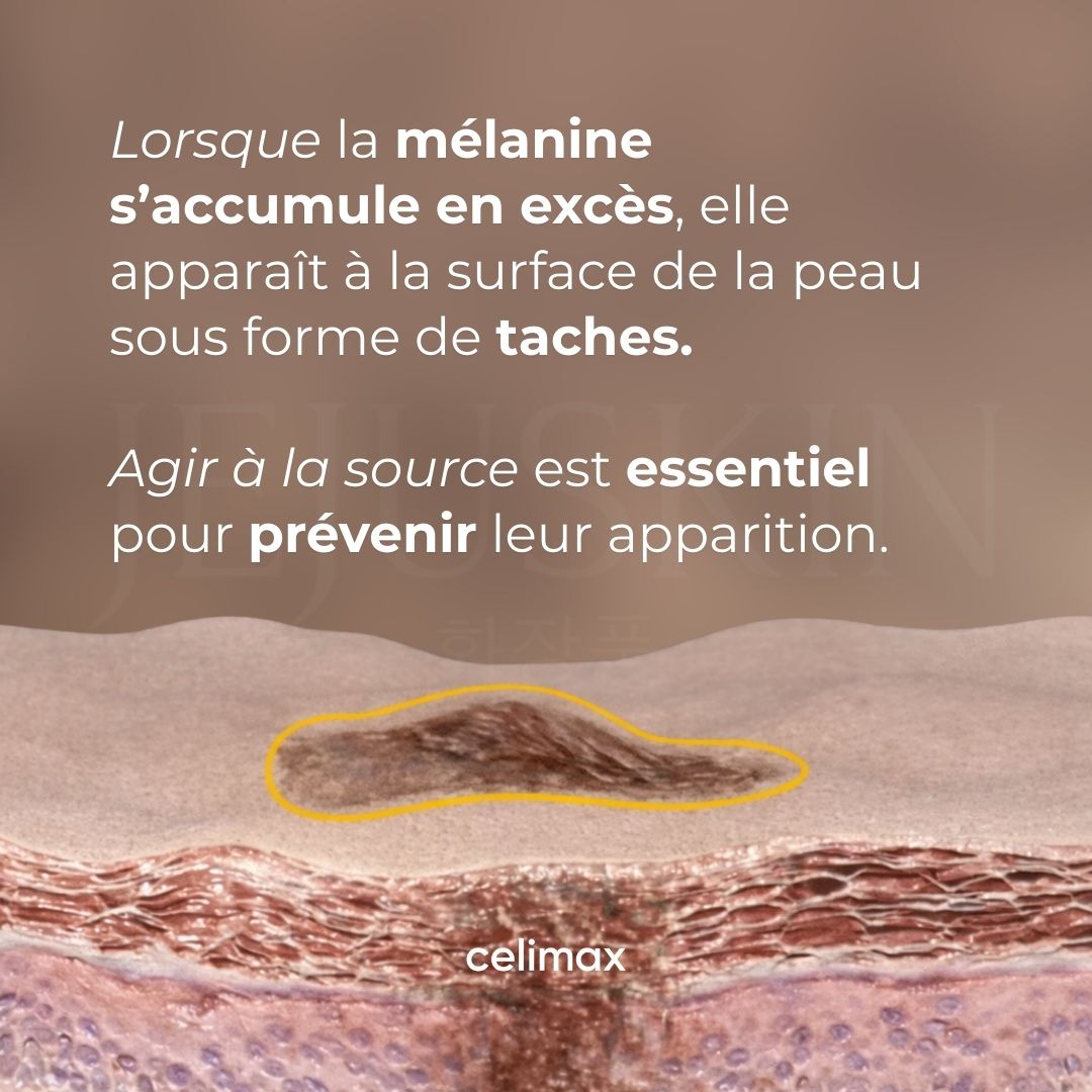 Schéma explicatif sur la mélanine