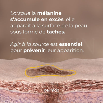 Schéma explicatif sur la mélanine